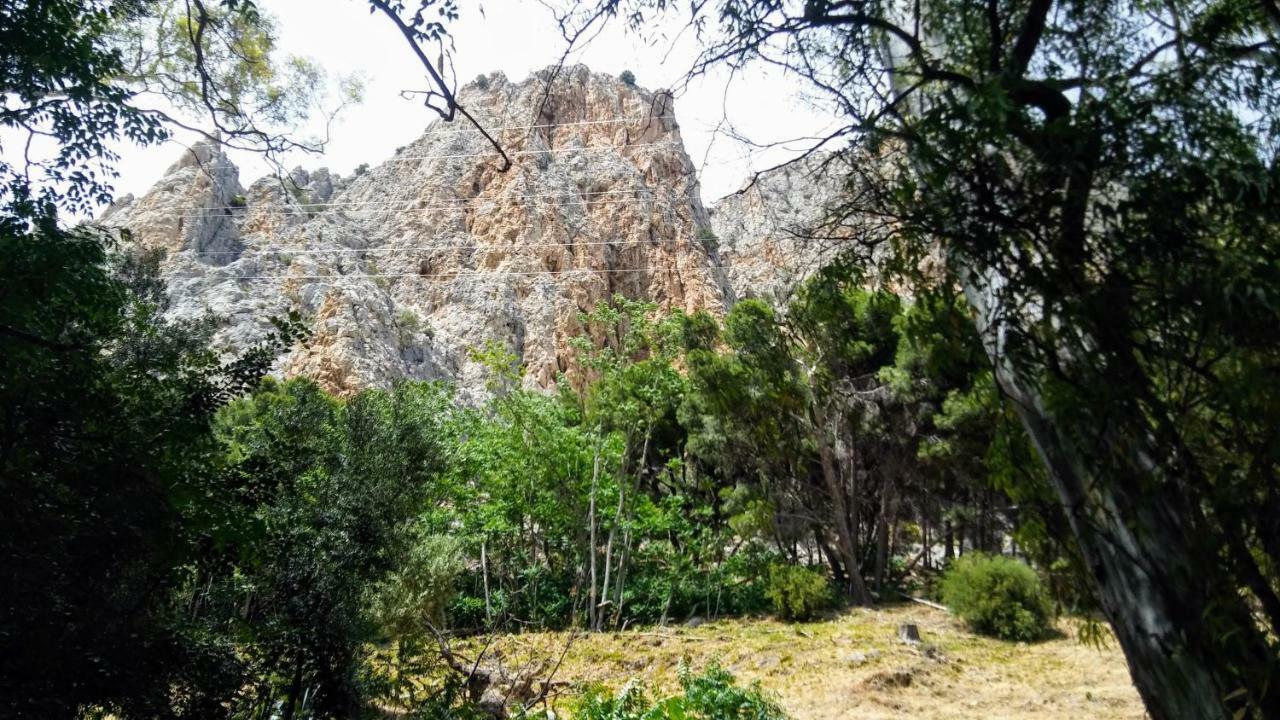 אלורה Casa Encina - Encinasola Turismo Rural. מראה חיצוני תמונה